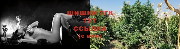 PSILOCYBIN Богородск
