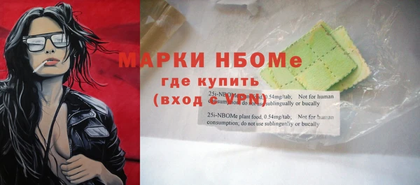 сатива Лабытнанги