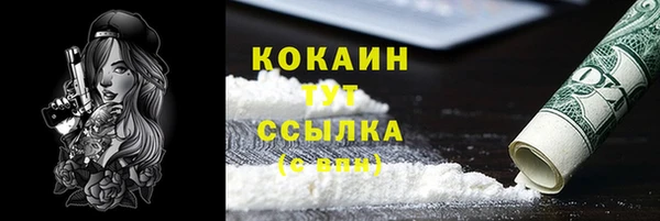 кокс Богородицк