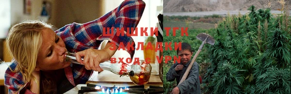 PSILOCYBIN Богородск