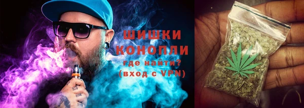 PSILOCYBIN Богородск