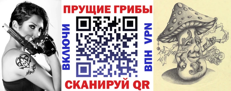 Псилоцибиновые грибы мухоморы  Курильск 
